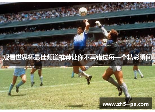 观看世界杯最佳频道推荐让你不再错过每一个精彩瞬间