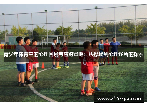 青少年体育中的心理困境与应对策略：从操场到心理诊所的探索